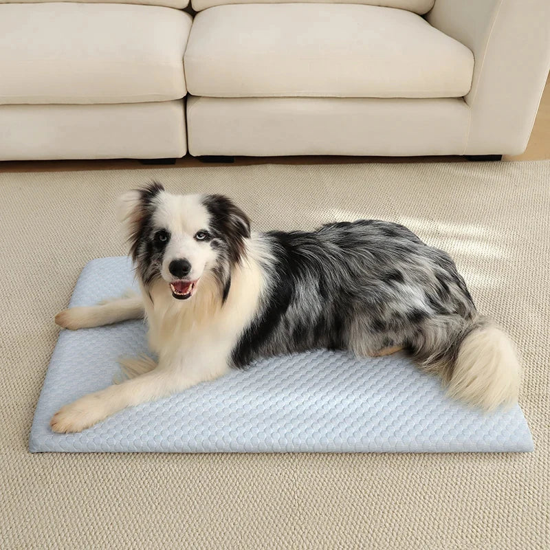 Summer Ice Silk Thick Breathable Dog Bed Cooling sponge Mat cat bed Non Slip Washable Pet Pad for Medium Large Cats Dogs
